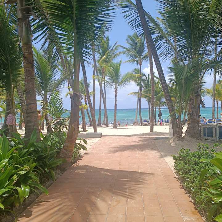 Strand Hotel Riu Palace Punta Cana