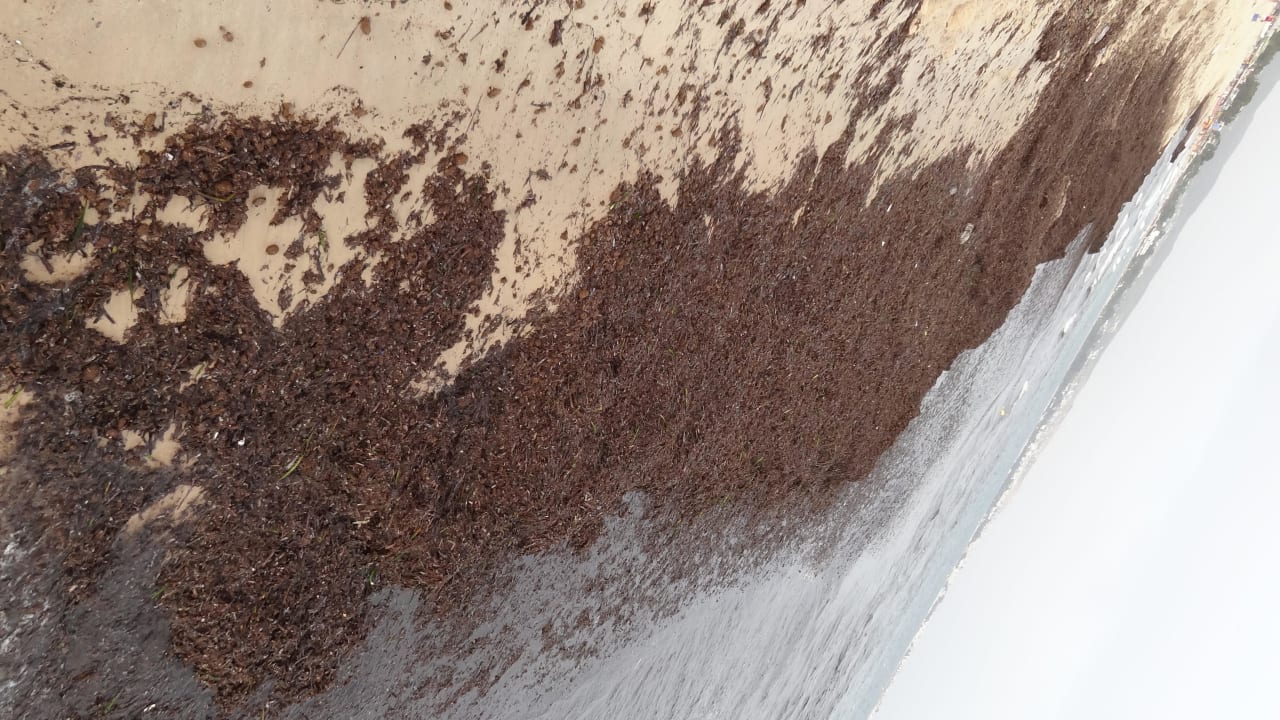 Plaza przy hotelu Hotel Paradis Palace