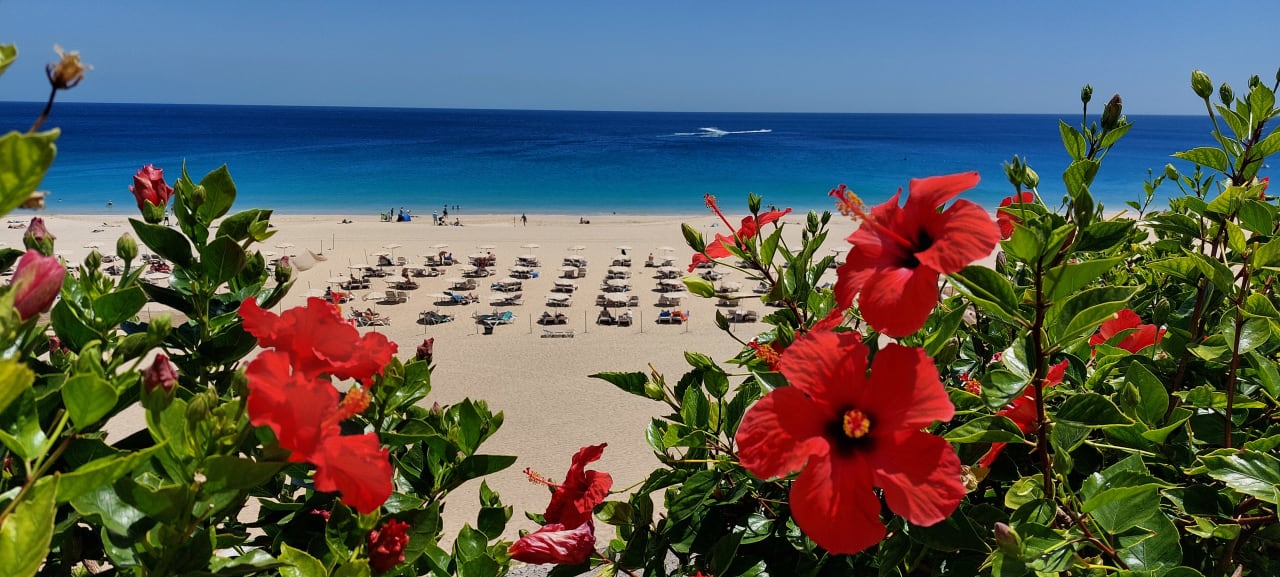 Ausblick Hotel Riu Palace Jandia