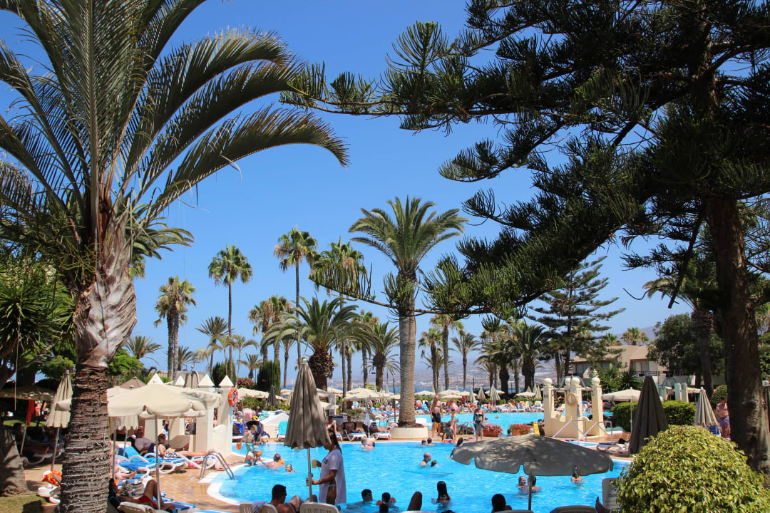 Hôtel H10 Las Palmeras - La Piscine 2015 H10 Las Palmeras