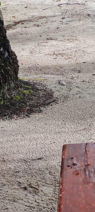 Sonstiges Filitheyo Island Resort