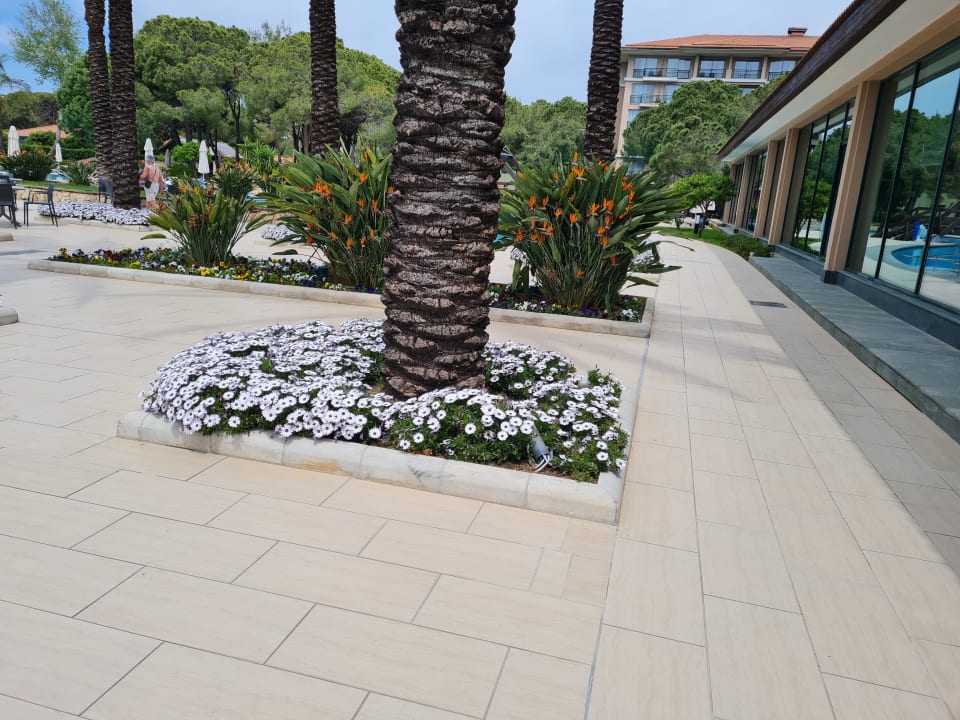 Gartenanlage IC Hotels Green Palace