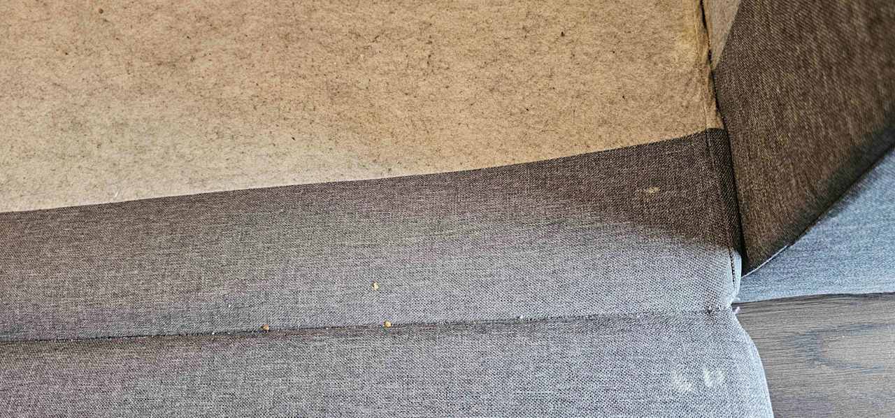 Zimmer La Canopée By Plaza