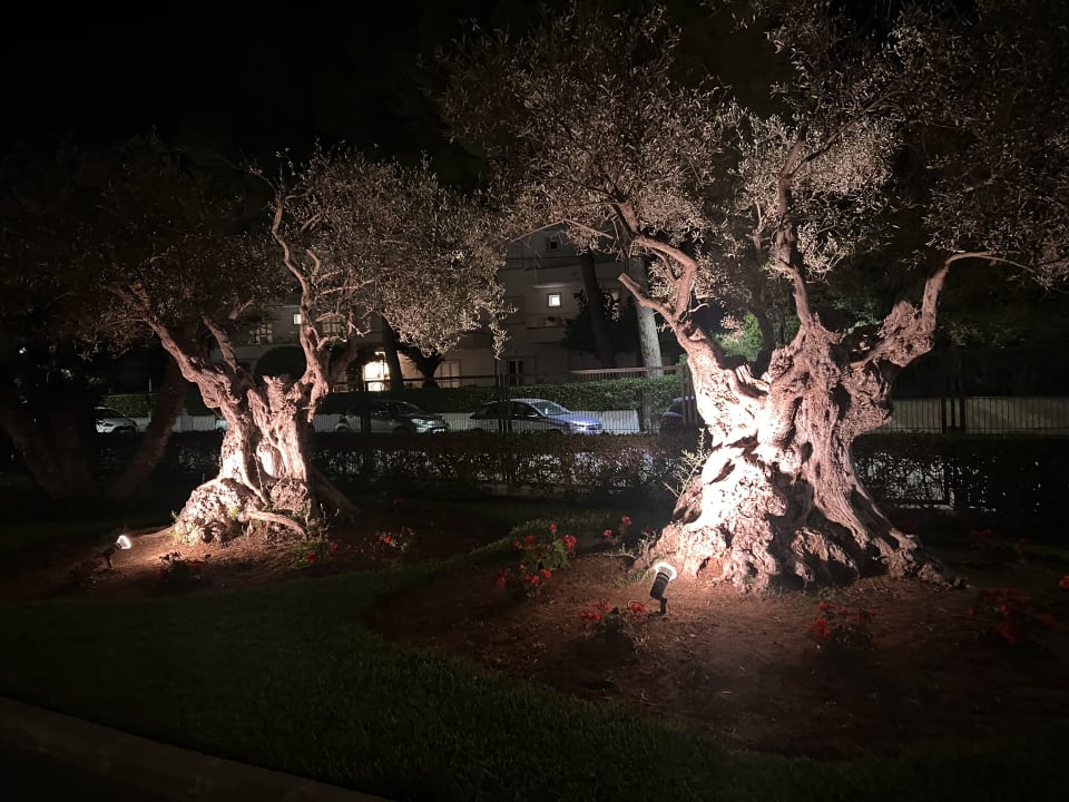 Außenansicht Hotel Exagon Park