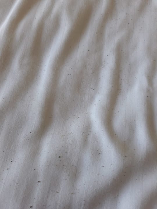 Zimmer Bella Beach Hotel