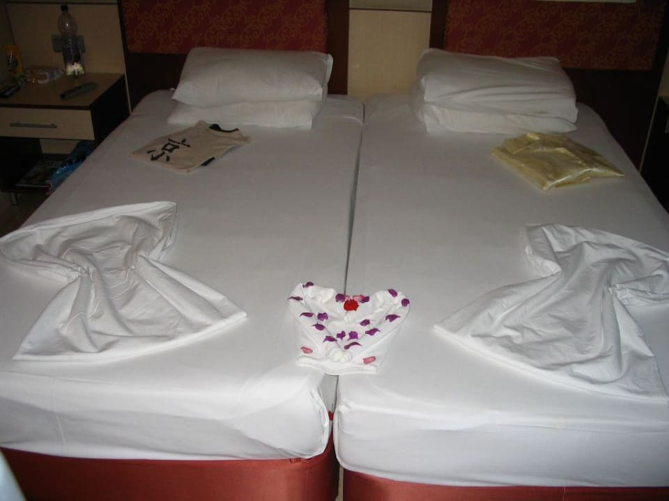 Bett des Tages Alaiye Resort & Spa