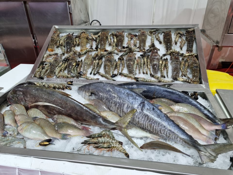 Gastro Beach Albatros Resort