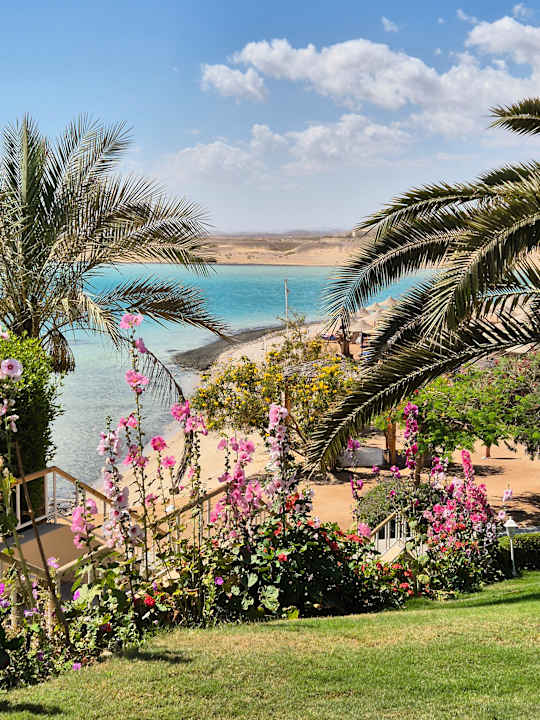 Strand TUI MAGIC LIFE Kalawy