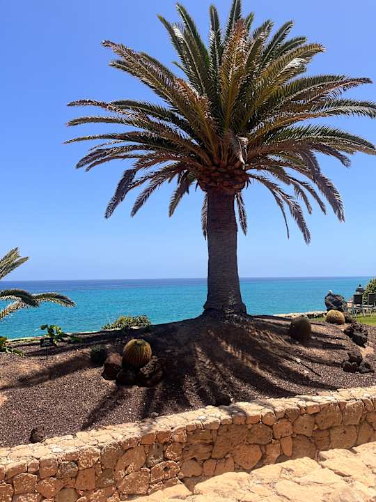 Gartenanlage R2 Pajara Beach