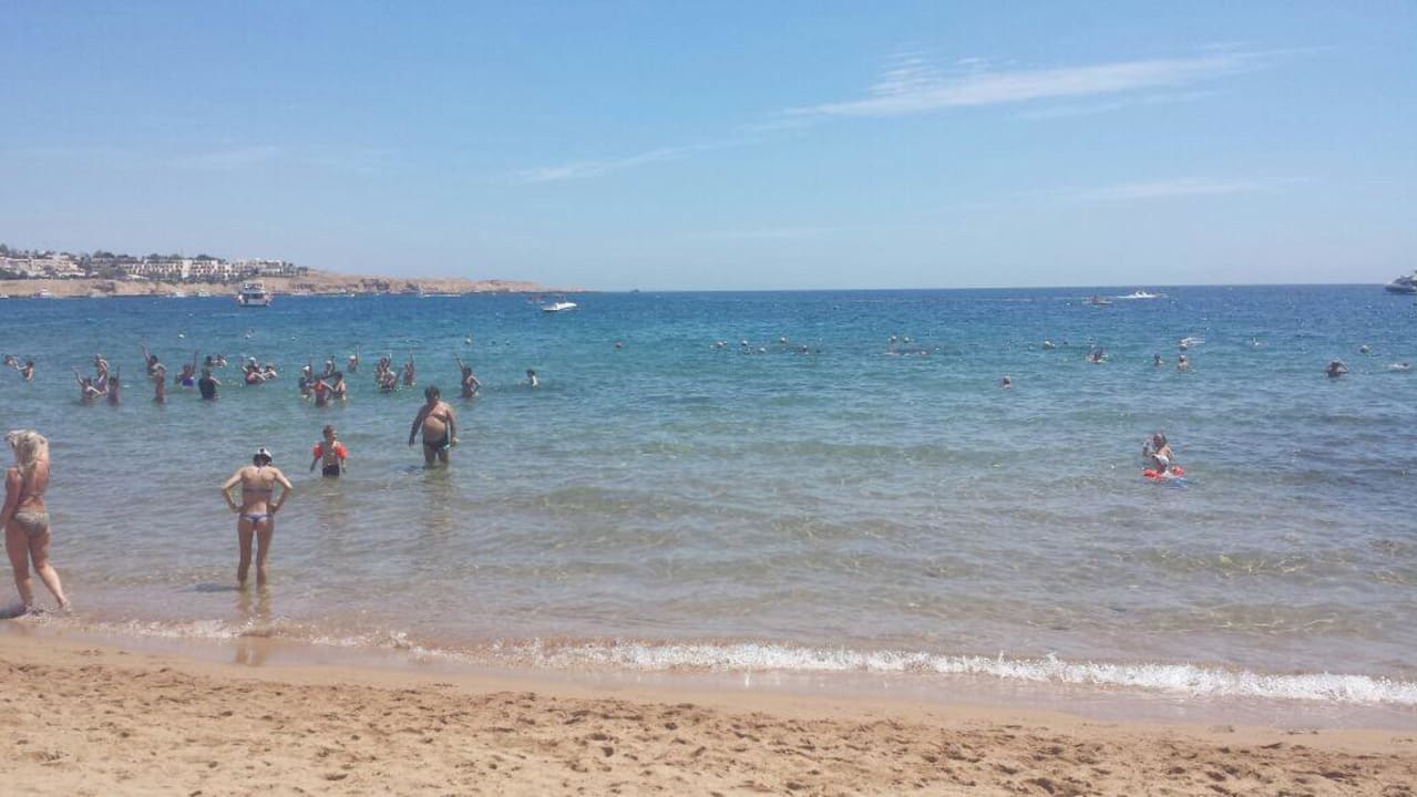 Strand Ghazala Gardens