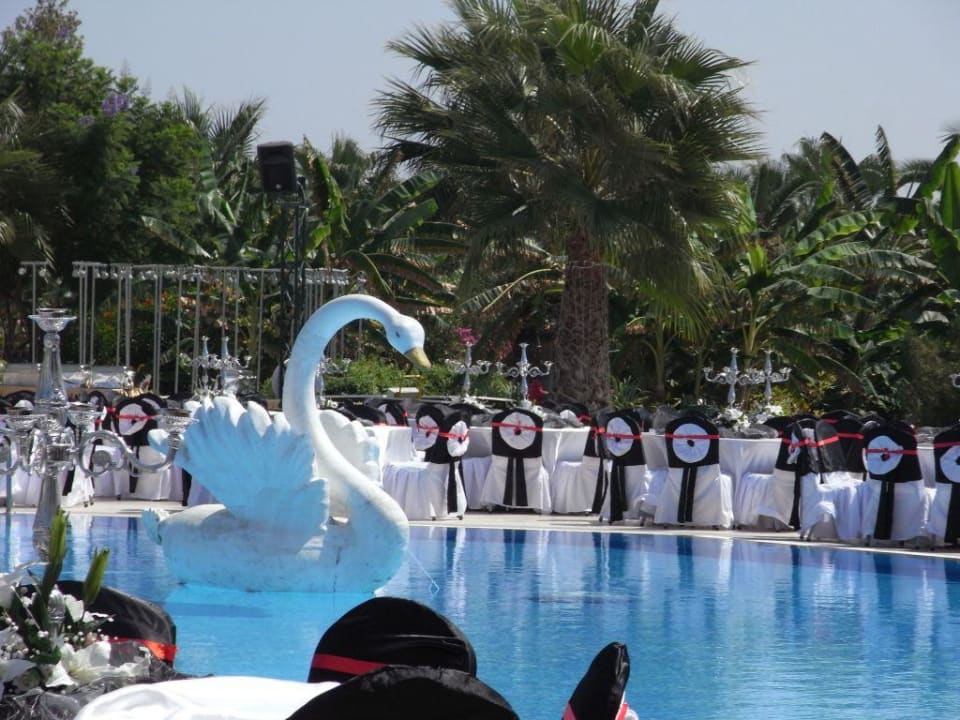 Sommerfest VONRESORT Golden Coast