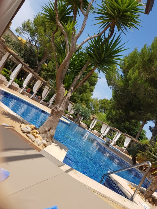 Pool Zafiro Mallorca