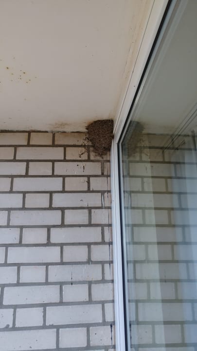 Außenansicht Ferienwohnungen Ferienpark Weissenhäuser Strand