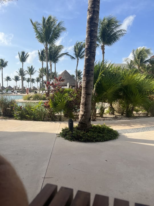 Gartenanlage Secrets Akumal Riviera Maya - Adults only