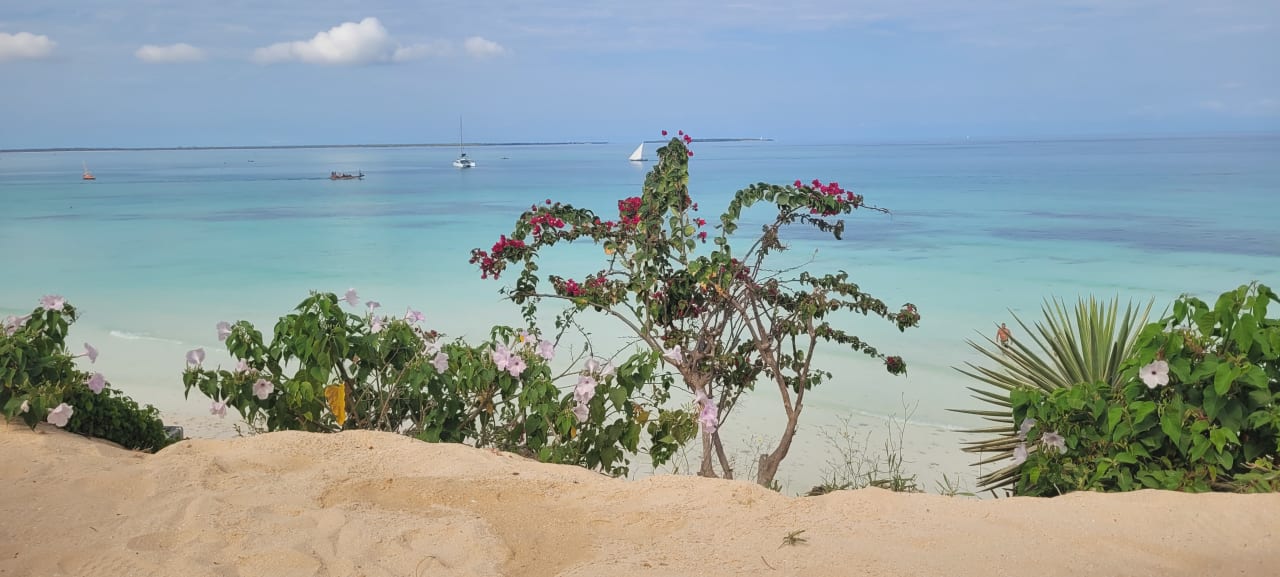 Strand Hotel Riu Palace Zanzibar