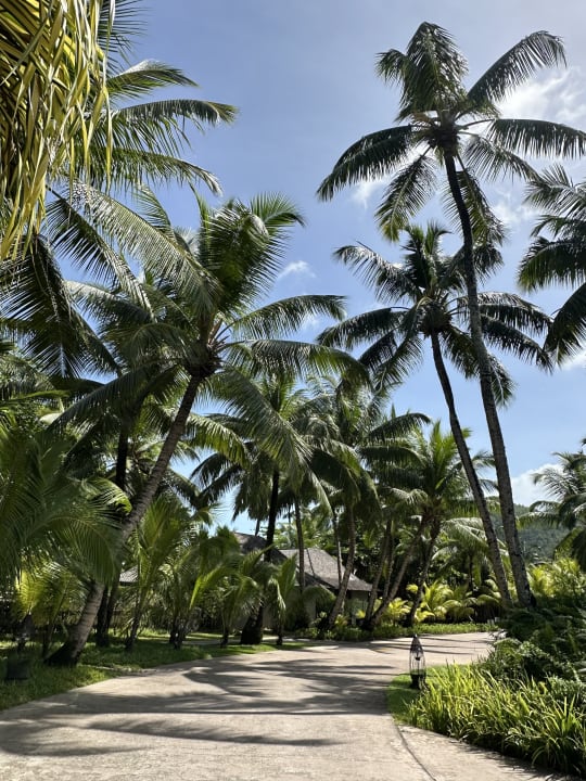 Gartenanlage Constance Ephelia