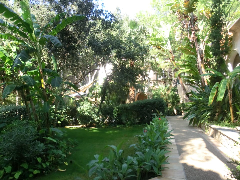 Weg zur Bar Lago Garden