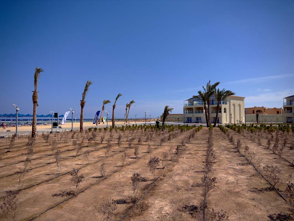 Gartenanlage Albatros Makadi Resort