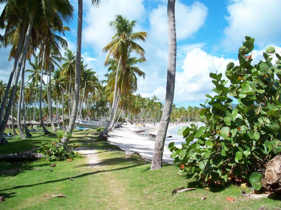 Grand Paradies Samana Wyndham Alltra Samana