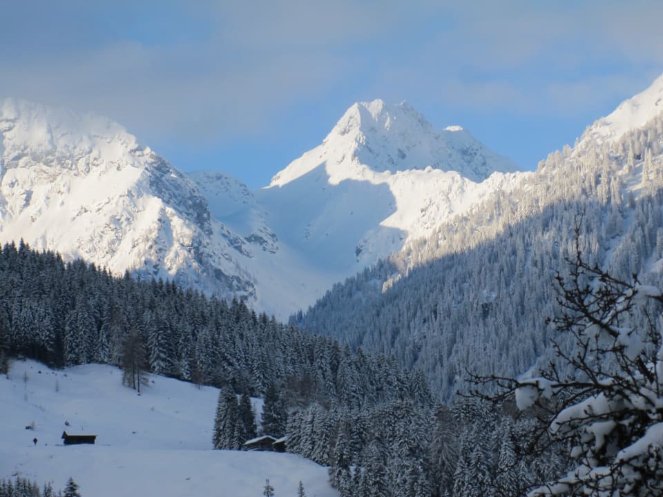 Ausblick von unserem Apartment Genusshof Mesner Aktiv