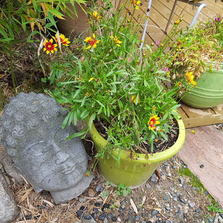 Gartenanlage The Rooms Bed & Breakfast