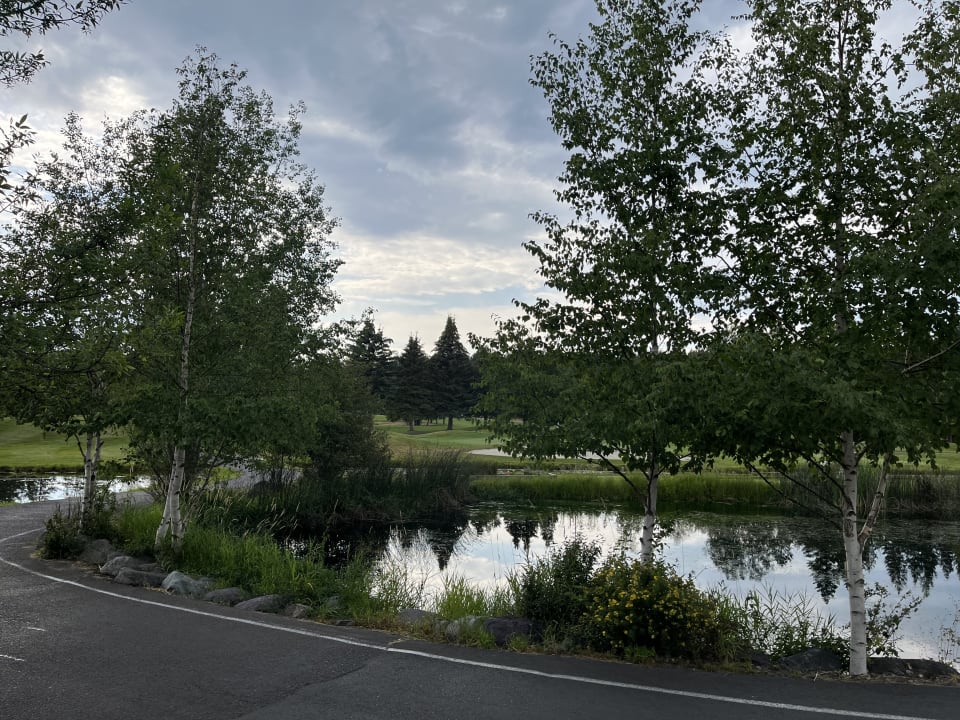 Ausblick Hotel Meadow Lake Resort