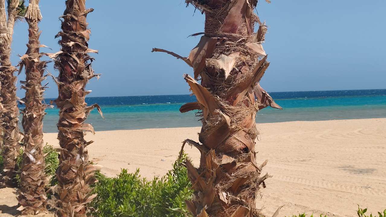 Strand SUNRISE Anjum Resort Marsa Alam