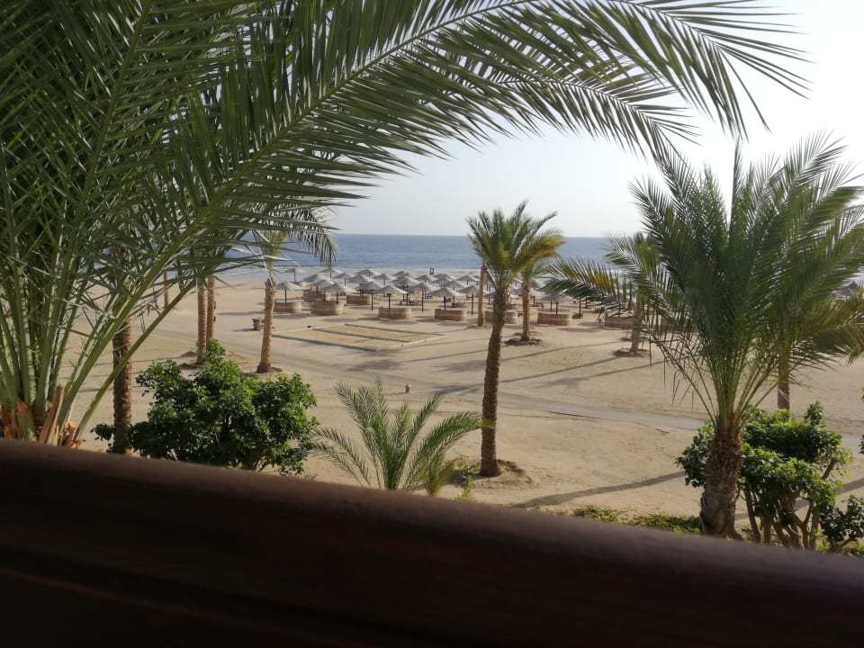 Zimmeraussicht Pickalbatros Sands Hotel - Port Ghalib