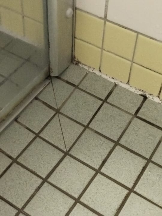 Zimmer Dorint Hotel Durbach/Schwarzwald