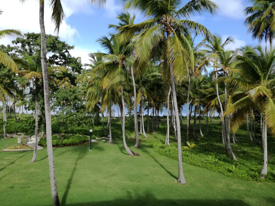 Außenansicht Wyndham Alltra Samana