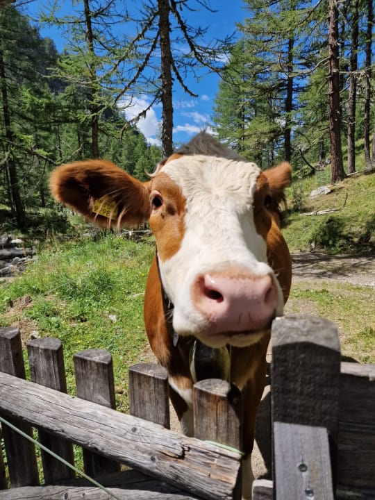Sport & Freizeit Ferienhaus Bergsee