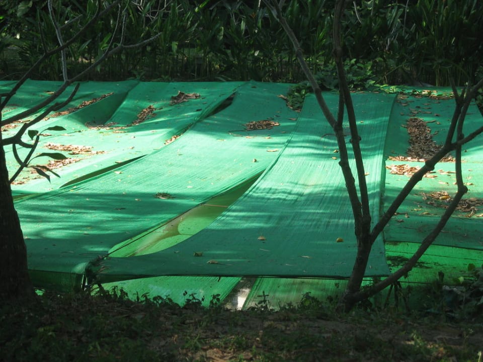 Gartenanlage Siam Bayshore Resort