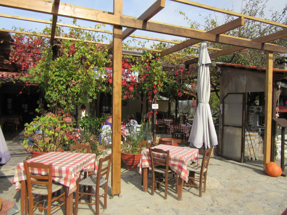 Gastro Erato Hotel