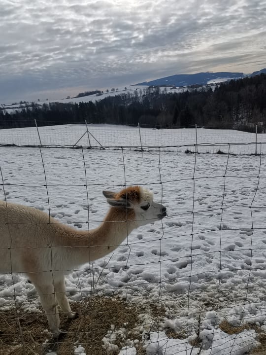 Sport & Freizeit Landrefugium Obermüller - 360° Glück