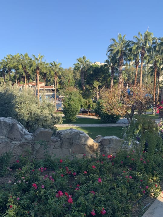 Gartenanlage Arum Barut Collection