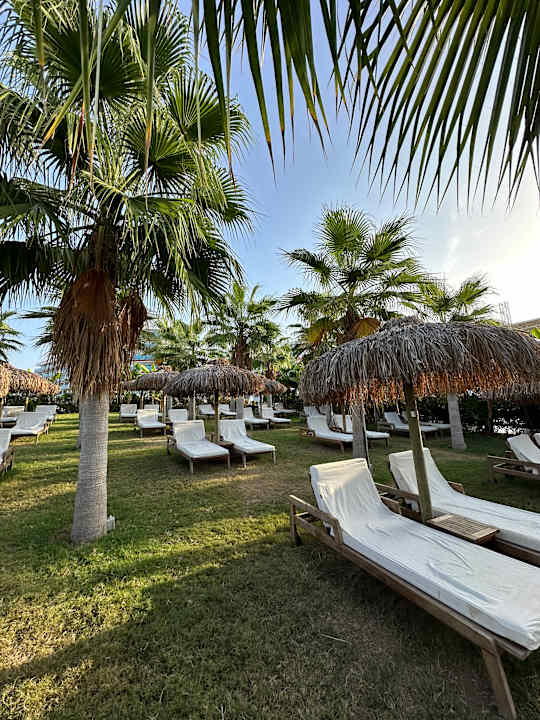 Gartenanlage Rubi Platinum Sign