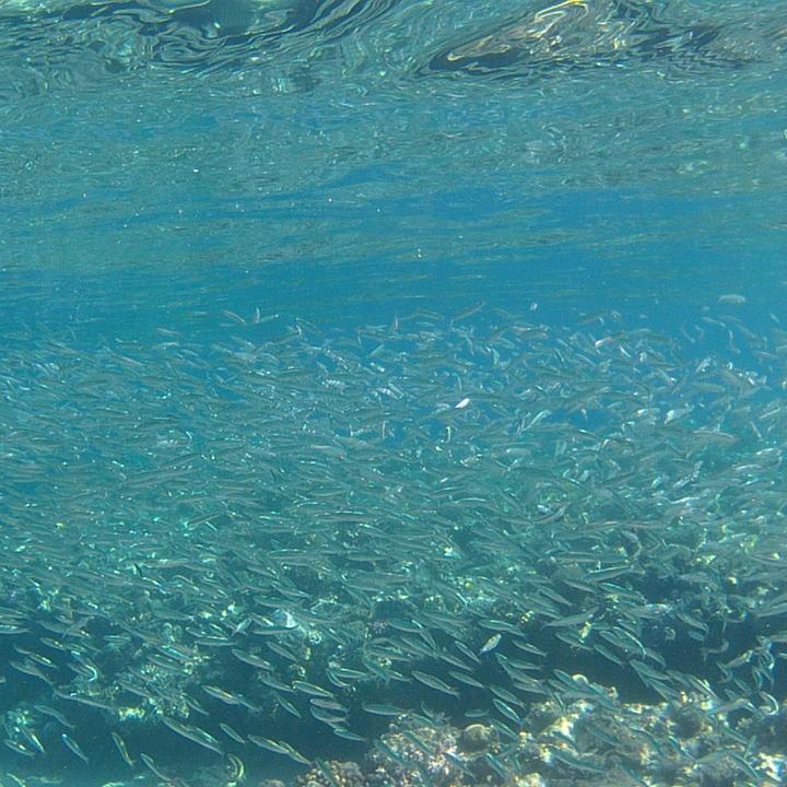 Strand Happy Life Village