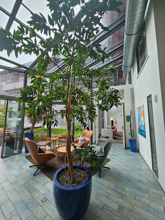 Lobby Hotel City Krone