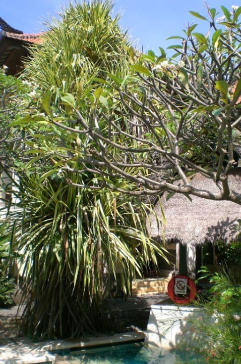 Clubpool Puri Santrian