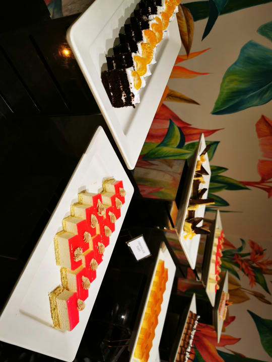 Gastro Club Hotel Dolphin