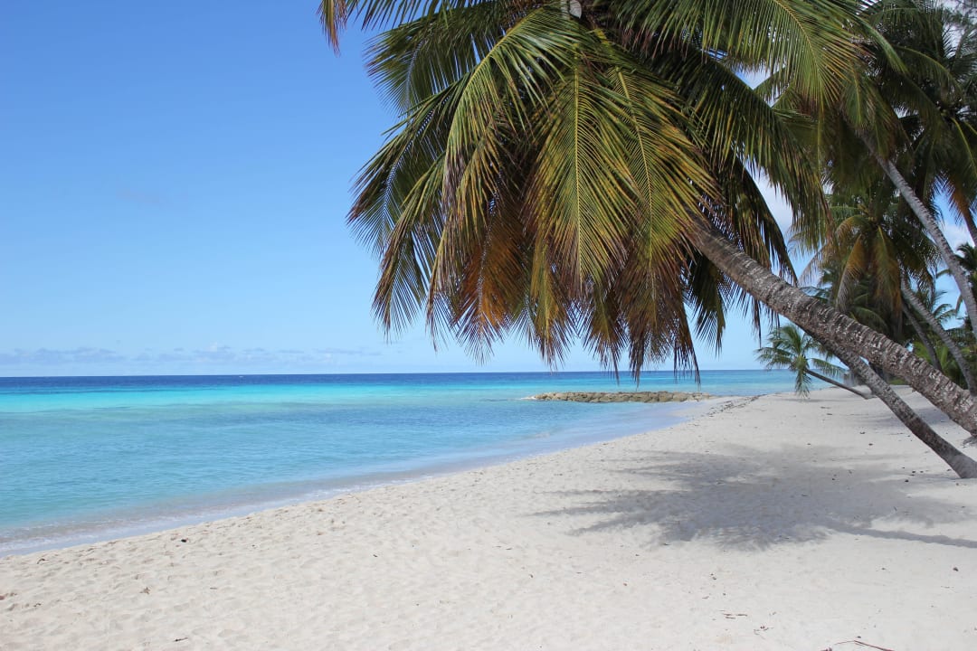 Strand ist 100 meter von Michelin Apartments entf. Michelin Apartments Saint Lawrence Gap