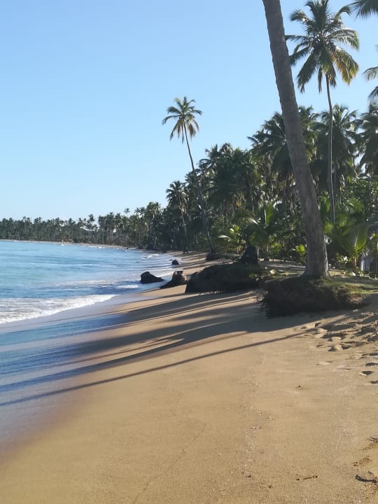 Strand Viva V Samana by Wyndham – Adults Only