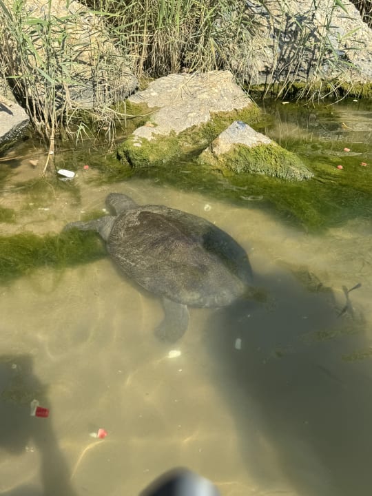 Sonstiges Aydinbey Kings Palace & Spa