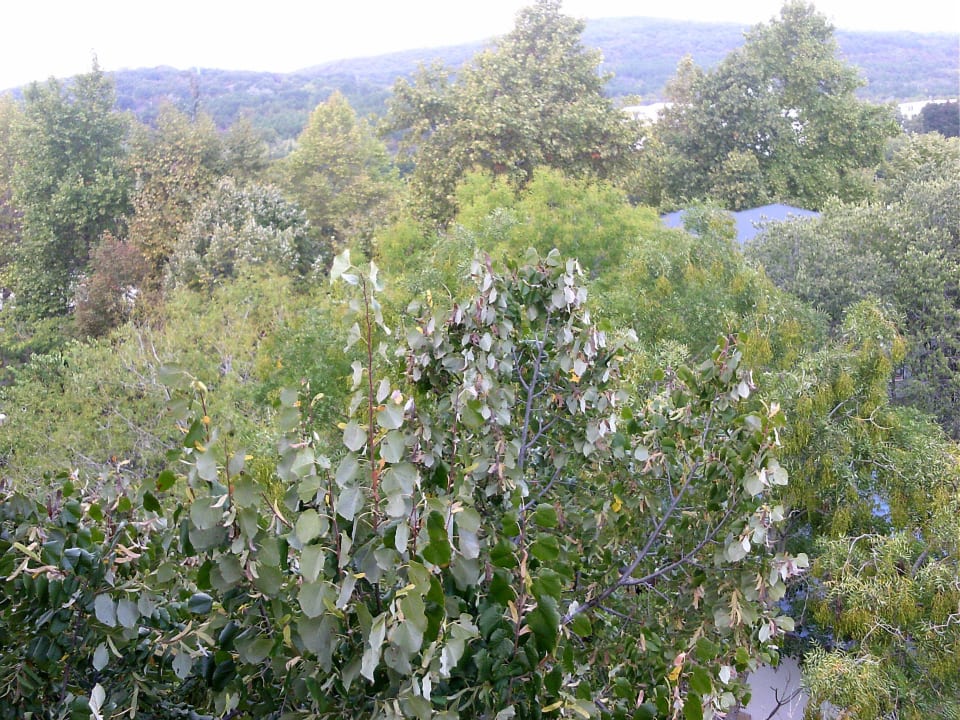 Von meinem Balkon Calimera Ralitsa Superior