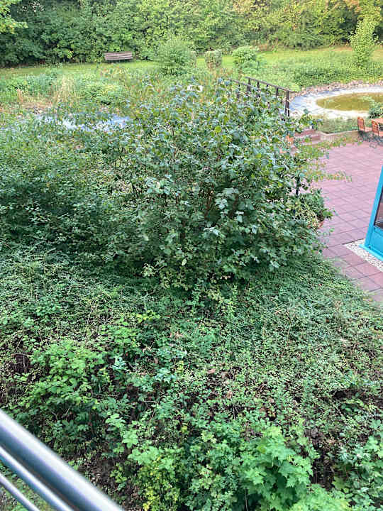 Außenansicht Best Western Parkhotel Brehna - Halle