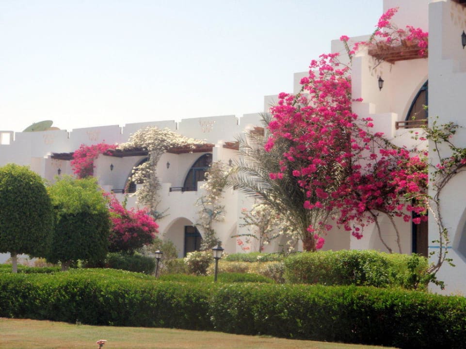 Hotel Three Corners Equinox Beach Resort