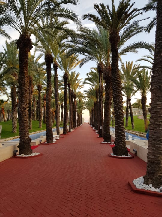 Gartenanlage Monachus Family Resort Sorgun
