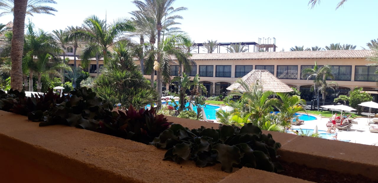 Pool Secrets Bahia Real Resort & SPA