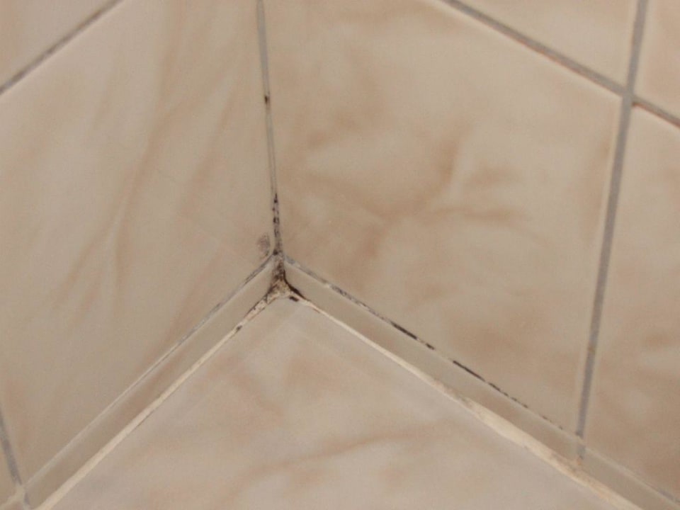 Schimmel in der Dusche  Apartments Hane Annex