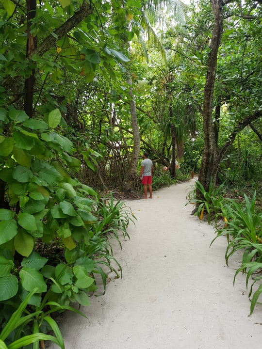 Innere Wege zu den Bungalows NH Collection Maldives Reethi Resort